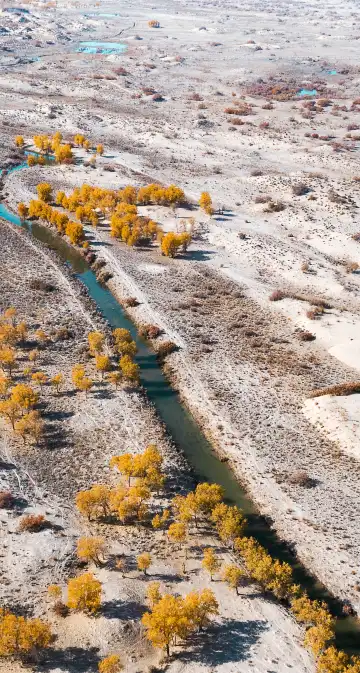 鄰近佳視界眼鏡(豪帥·麗都華府店)的酒店