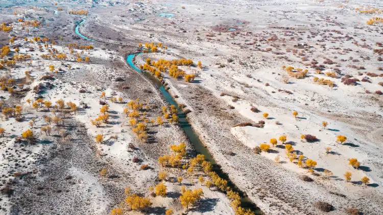 紫羅蘭風情園附近的飯店