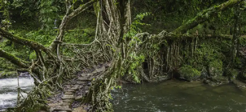 Hotels mit Pools in Meghalaya, Indien