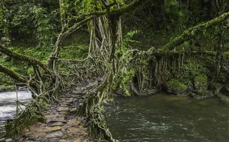 Khách sạn 2 Sao tại Meghalaya, Ấn Độ