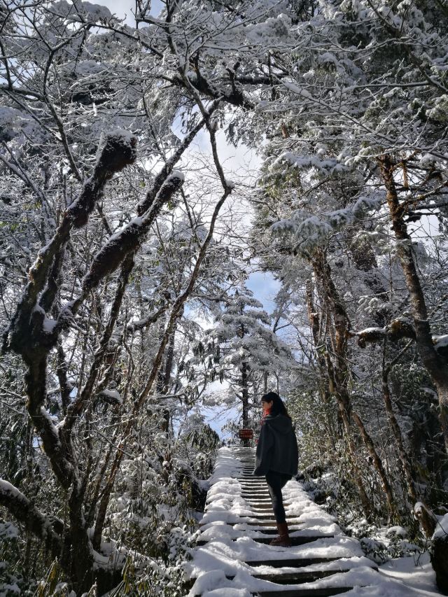 옌쯔거우