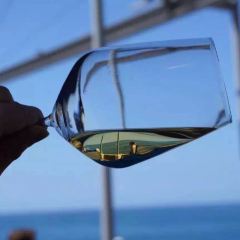 LASARTE User Photo