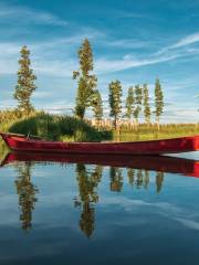 Dounan Wetland