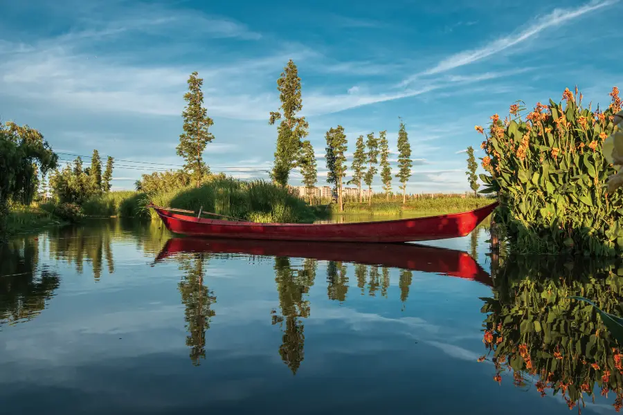 Dounan Wetland