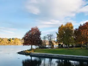 Swans Trail Farms
