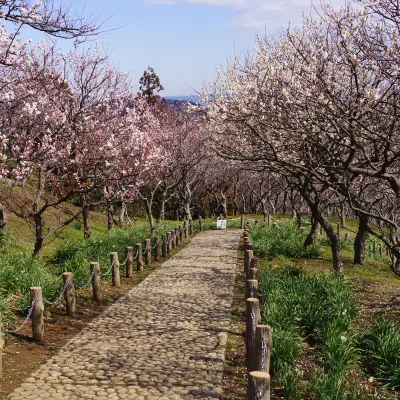 China Airlines to Shangrao