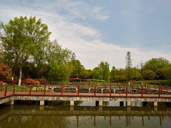 Dongchang Lake Wetland Island Leisure Fishery Park