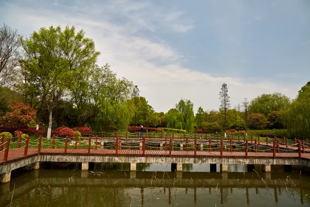 Отзывы об отеле Liaocheng Log House Homestay (Dongchang Lake Branch)