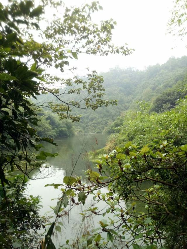 Qingyuan Bijiashan Canyon Drifting