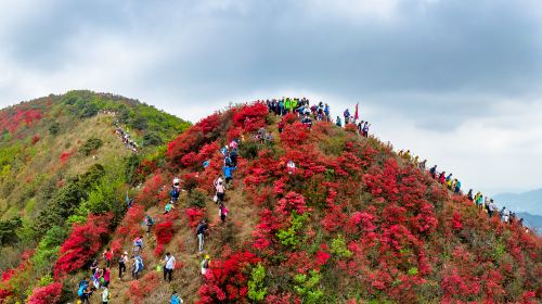 通天蠟燭山