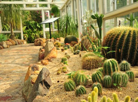 親子好去處】嘉道理農場重開！戶外親子一日遊入場/交通/賞花/必去景點攻略遊記攻略-Trip.com遊玩攻略