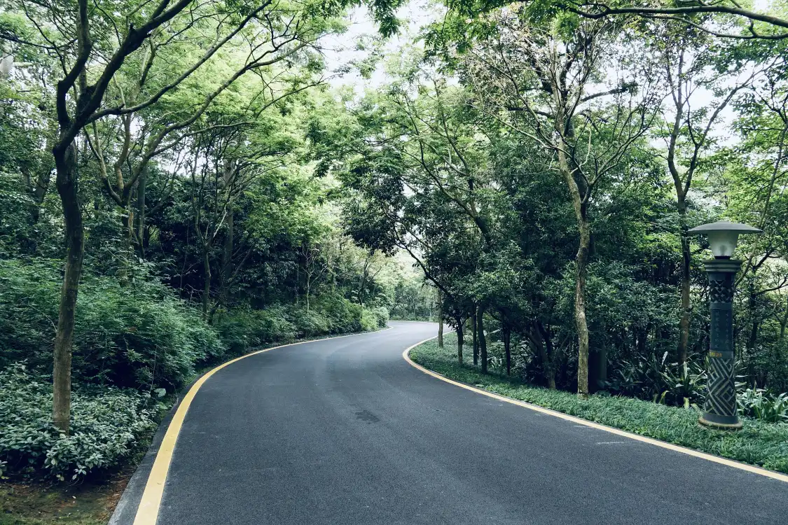 Hotels near Guangxi Precious Tree Species Exhibition Garden