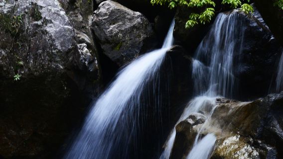 Mangshan Tourist Area National Forest Park Houwangzhai Scenic Area
