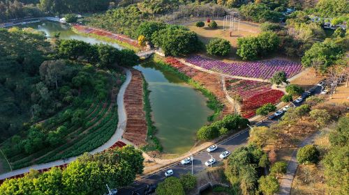 Songshan Lake Park