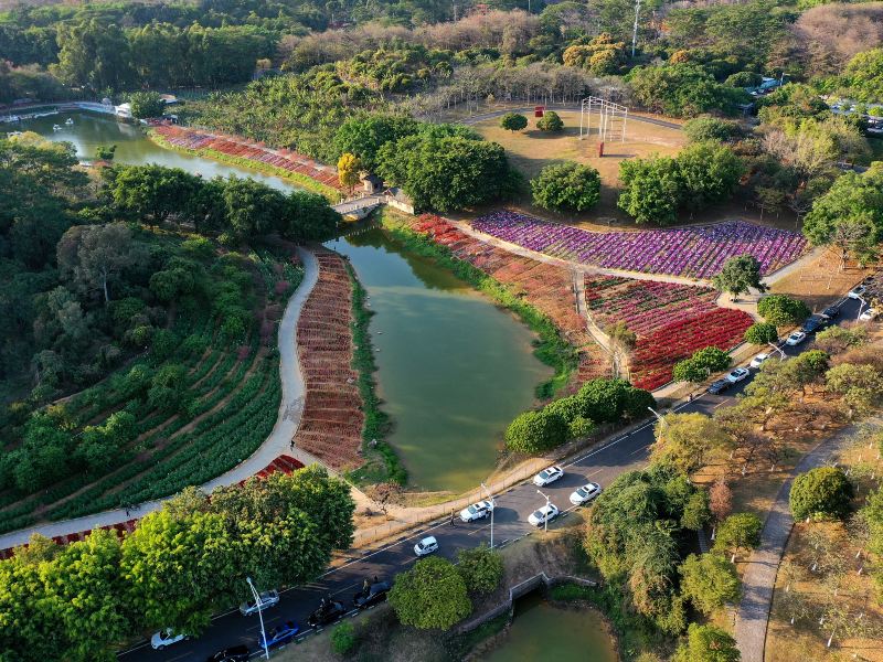 松山湖中心公園