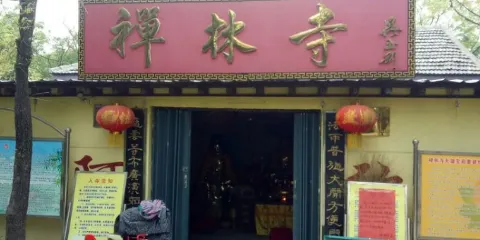 塔山公園-禪林寺