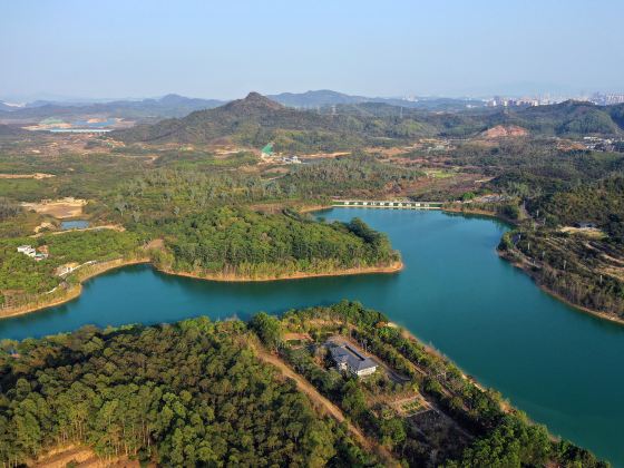 鳳崗南門山森林公園