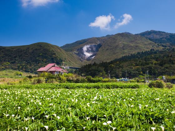 Bamboo Lake