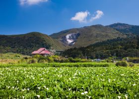 Vé máy bay Đài Bắc Đà Nẵng