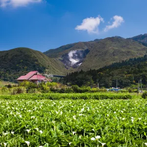 竹子湖