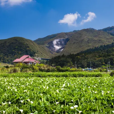 Flights from Taipei to Tokyo