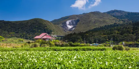 竹子湖
