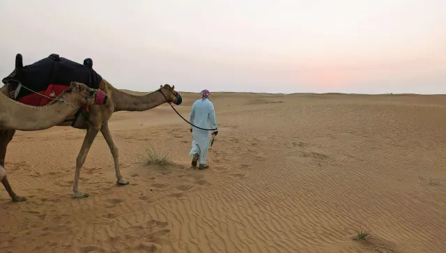 Un paysage traditionnel à Dubaï