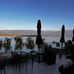 櫻花屋音樂餐吧張用戶圖片