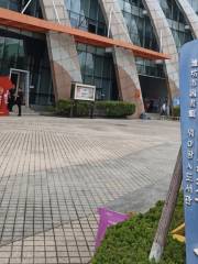 Weifang Library