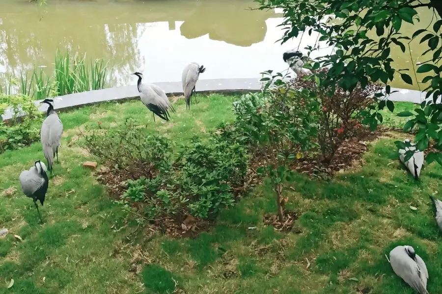 兩栖爬行動物館