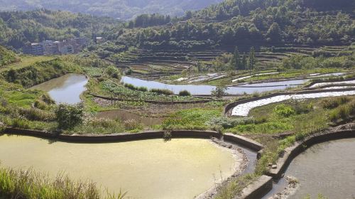 中國田魚村