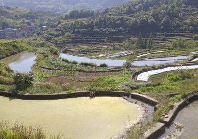 Tian Fish Village of China