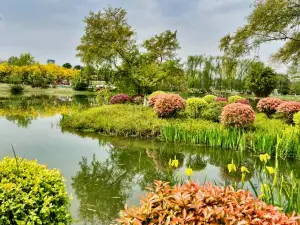 Beihu Ecological Park