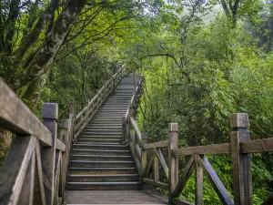 Popular Best Things to Do in Hawaii-Maui