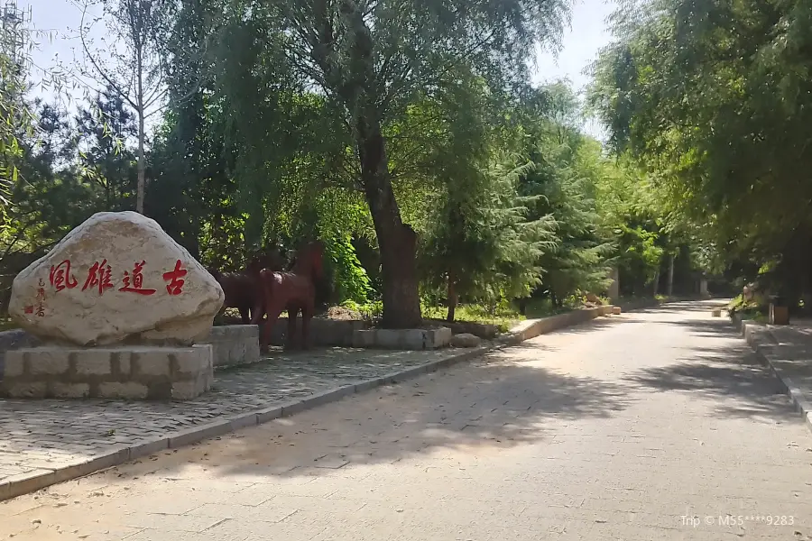 Qinhuang Ancient Road