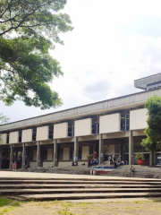 University of Valle