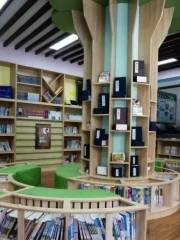 Deqinxian Library