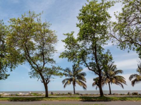 vuelos a Maputo desde Santiago de Compostela