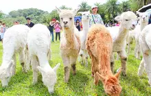 Green World Ecological Farm