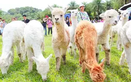 綠世界生態農場