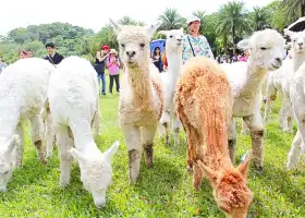 綠世界生態農場