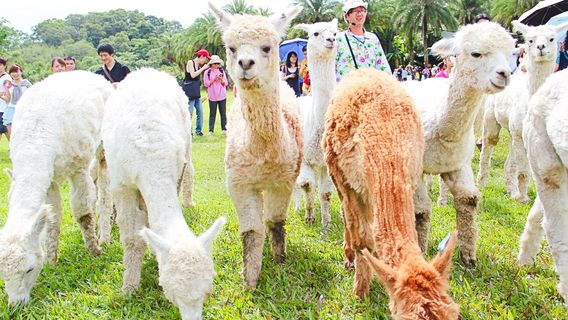 Green World Ecological Farm