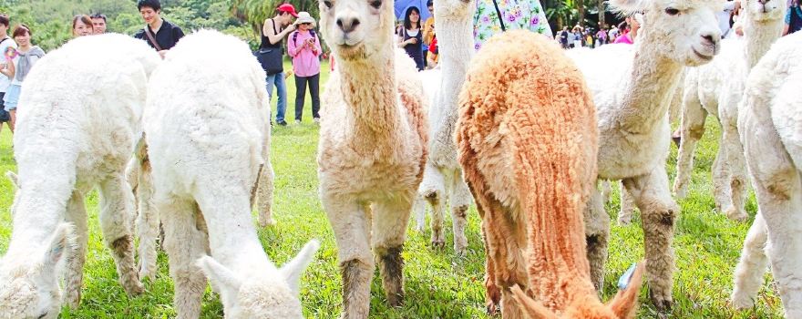Green World Ecological Farm