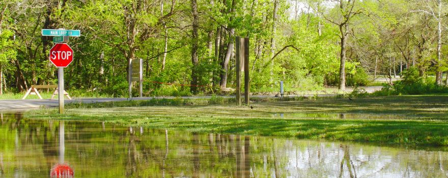 Hueston Woods State Park