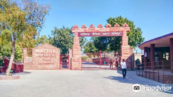 Machia Biological Park