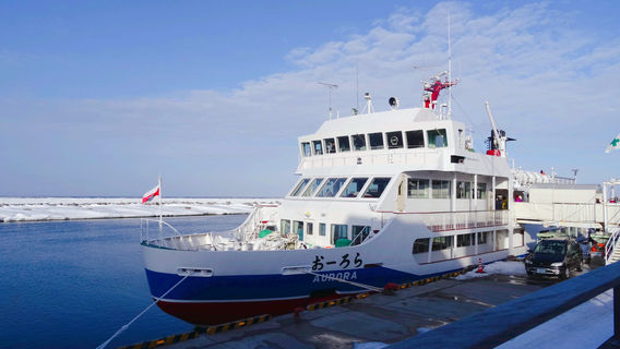 Abashiri Drift Ice Sightseeing & Icebreaker Ship