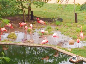Parque Animaya