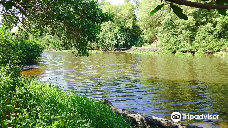 Các khách sạn gần Ecological Park of Cocó