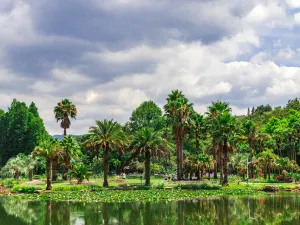 Kunming Botanical Garden