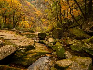 Liping National Forest Park